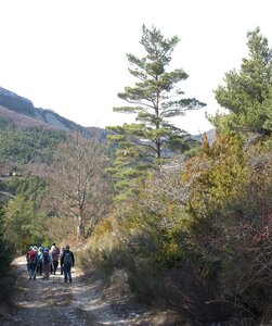 Randonnée du 14/03/2017 sur la Crête de Chamouse, P3140051  Copier 