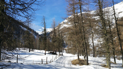 Randonnée du 19/03/2017 dans le vallon d'Archinard, Patrice-2