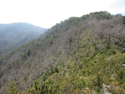 Randonnée du 21/03/2017 à la Table des Bergers et Mont de Garde , IMG_0186