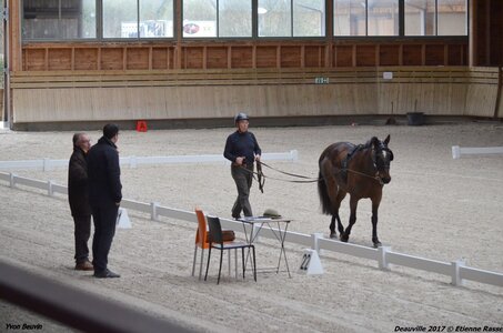 2017-03 Indoor Deauville - Epreuve Longues rênes, 01-DSC_3182
