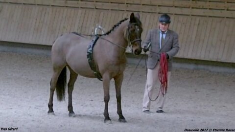 2017-03 Indoor Deauville - Epreuve Longues rênes, 05-Yves gérard 01