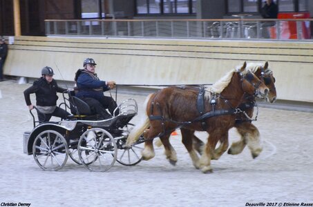 2017-03 Indoor Deauville - Epreuve de vitesse, 01-DSC_3356