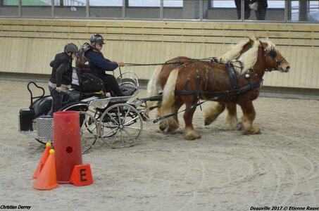 2017-03 Indoor Deauville - Epreuve de vitesse, 01-DSC_3372