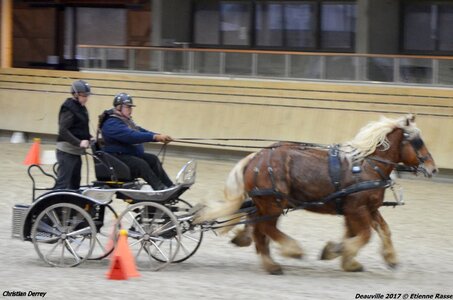 2017-03 Indoor Deauville - Epreuve de vitesse, 01-DSC_3569