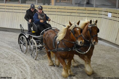 2017-03 Indoor Deauville - Epreuve de vitesse, 01-DSC_3574