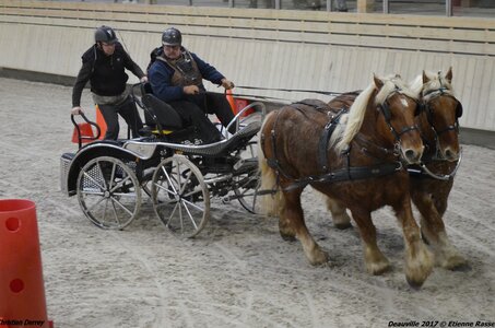 2017-03 Indoor Deauville - Epreuve de vitesse, 01-DSC_3579