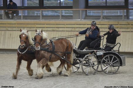 2017-03 Indoor Deauville - Epreuve de vitesse, 01-DSC_3583