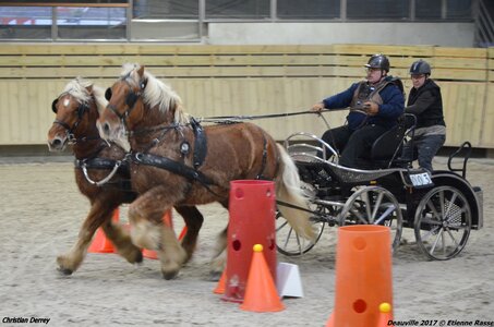 2017-03 Indoor Deauville - Epreuve de vitesse, 01-DSC_3585