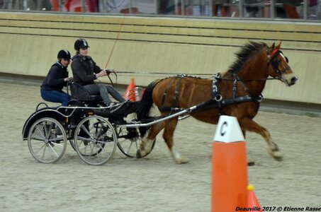 2017-03 Indoor Deauville - Epreuve de vitesse, 02-DSC_3401