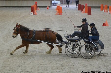2017-03 Indoor Deauville - Epreuve de vitesse, 02-DSC_3417