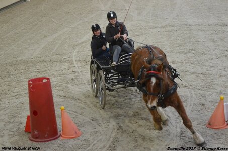 2017-03 Indoor Deauville - Epreuve de vitesse, 02-DSC_3422