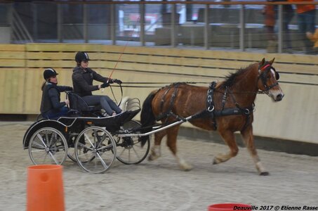 2017-03 Indoor Deauville - Epreuve de vitesse, 02-DSC_3600