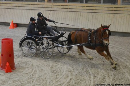 2017-03 Indoor Deauville - Epreuve de vitesse, 02-DSC_3607