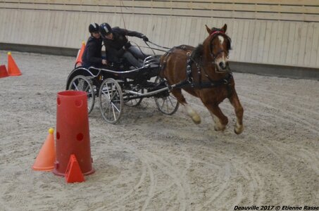 2017-03 Indoor Deauville - Epreuve de vitesse, 02-DSC_3618