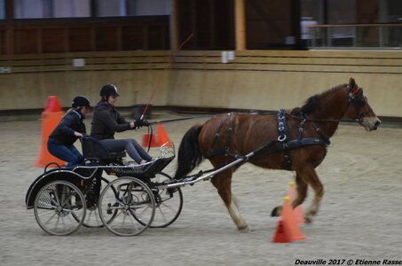 2017-03 Indoor Deauville - Epreuve de vitesse, 02-DSC_3763