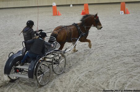 2017-03 Indoor Deauville - Epreuve de vitesse, 02-DSC_3772