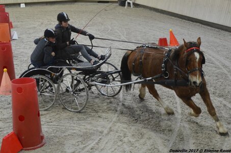 2017-03 Indoor Deauville - Epreuve de vitesse, 02-DSC_3779