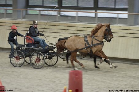 2017-03 Indoor Deauville - Epreuve de vitesse, 03-DSC_3310