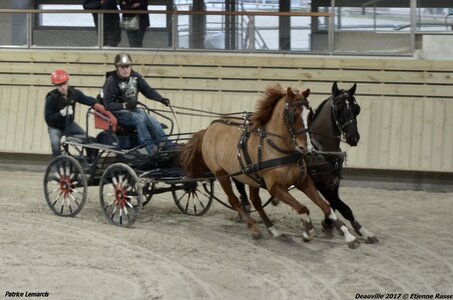2017-03 Indoor Deauville - Epreuve de vitesse, 03-DSC_3314
