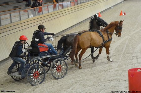 2017-03 Indoor Deauville - Epreuve de vitesse, 03-DSC_3318