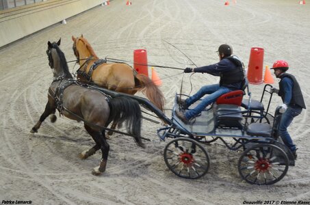 2017-03 Indoor Deauville - Epreuve de vitesse, 03-DSC_3329