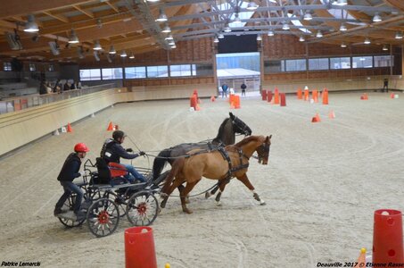 2017-03 Indoor Deauville - Epreuve de vitesse, 03-DSC_3334