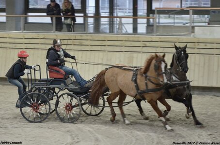 2017-03 Indoor Deauville - Epreuve de vitesse, 03-DSC_3340