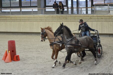 2017-03 Indoor Deauville - Epreuve de vitesse, 03-DSC_3341