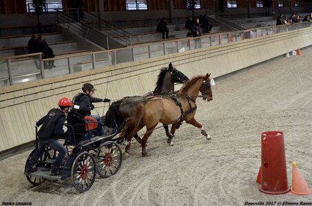 2017-03 Indoor Deauville - Epreuve de vitesse, 04-DSC_3549