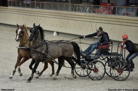 2017-03 Indoor Deauville - Epreuve de vitesse, 04-DSC_3559