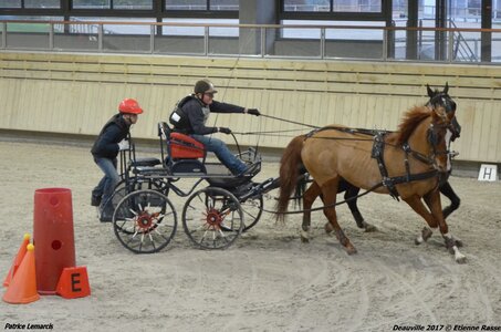 2017-03 Indoor Deauville - Epreuve de vitesse, 04-DSC_3564