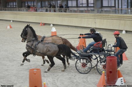 2017-03 Indoor Deauville - Epreuve de vitesse, 04-DSC_3567