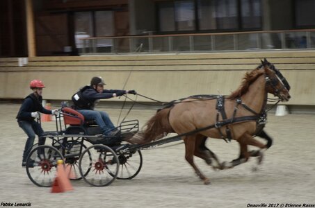 2017-03 Indoor Deauville - Epreuve de vitesse, 04-DSC_3714