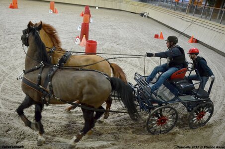 2017-03 Indoor Deauville - Epreuve de vitesse, 04-DSC_3725