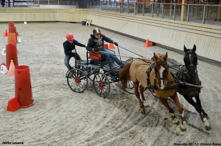 2017-03 Indoor Deauville - Epreuve de vitesse, 04-DSC_3729