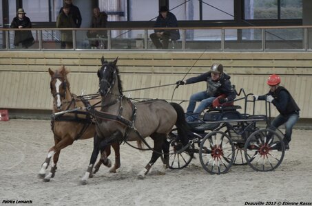 2017-03 Indoor Deauville - Epreuve de vitesse, 04-DSC_3744