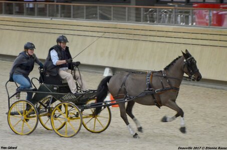 2017-03 Indoor Deauville - Epreuve de vitesse, 05-DSC_3250