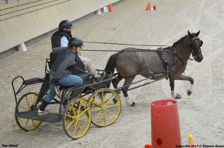 2017-03 Indoor Deauville - Epreuve de vitesse, 05-DSC_3255