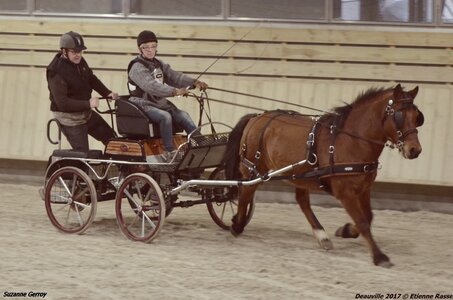 2017-03 Indoor Deauville - Epreuve de vitesse, 05-DSC_3467