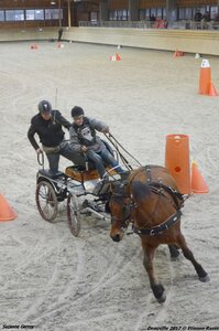 2017-03 Indoor Deauville - Epreuve de vitesse, 05-DSC_3486