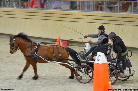 2017-03 Indoor Deauville - Epreuve de vitesse, 05-DSC_3489