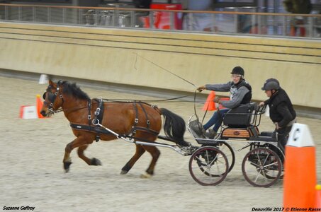 2017-03 Indoor Deauville - Epreuve de vitesse, 05-DSC_3490