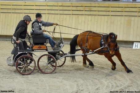 2017-03 Indoor Deauville - Epreuve de vitesse, 05-DSC_3497