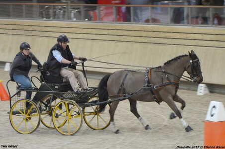2017-03 Indoor Deauville - Epreuve de vitesse, 05-DSC_3512
