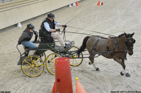 2017-03 Indoor Deauville - Epreuve de vitesse, 05-DSC_3520