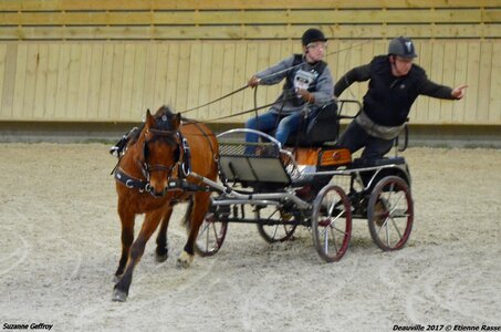 2017-03 Indoor Deauville - Epreuve de vitesse, 05-DSC_3660