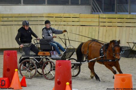 2017-03 Indoor Deauville - Epreuve de vitesse, 05-DSC_3662