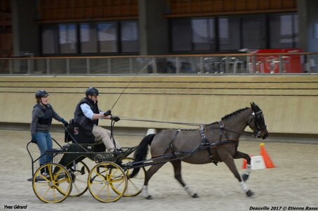 2017-03 Indoor Deauville - Epreuve de vitesse, 05-DSC_3675