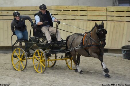 2017-03 Indoor Deauville - Epreuve de vitesse, 05-DSC_3677