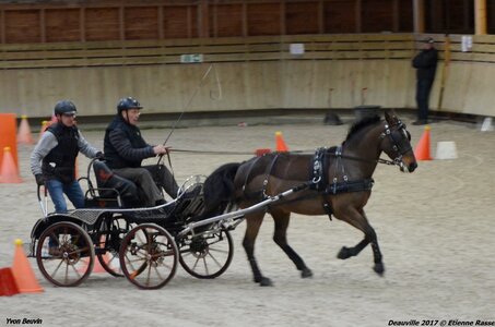 2017-03 Indoor Deauville - Epreuve de vitesse, 06-DSC_3268